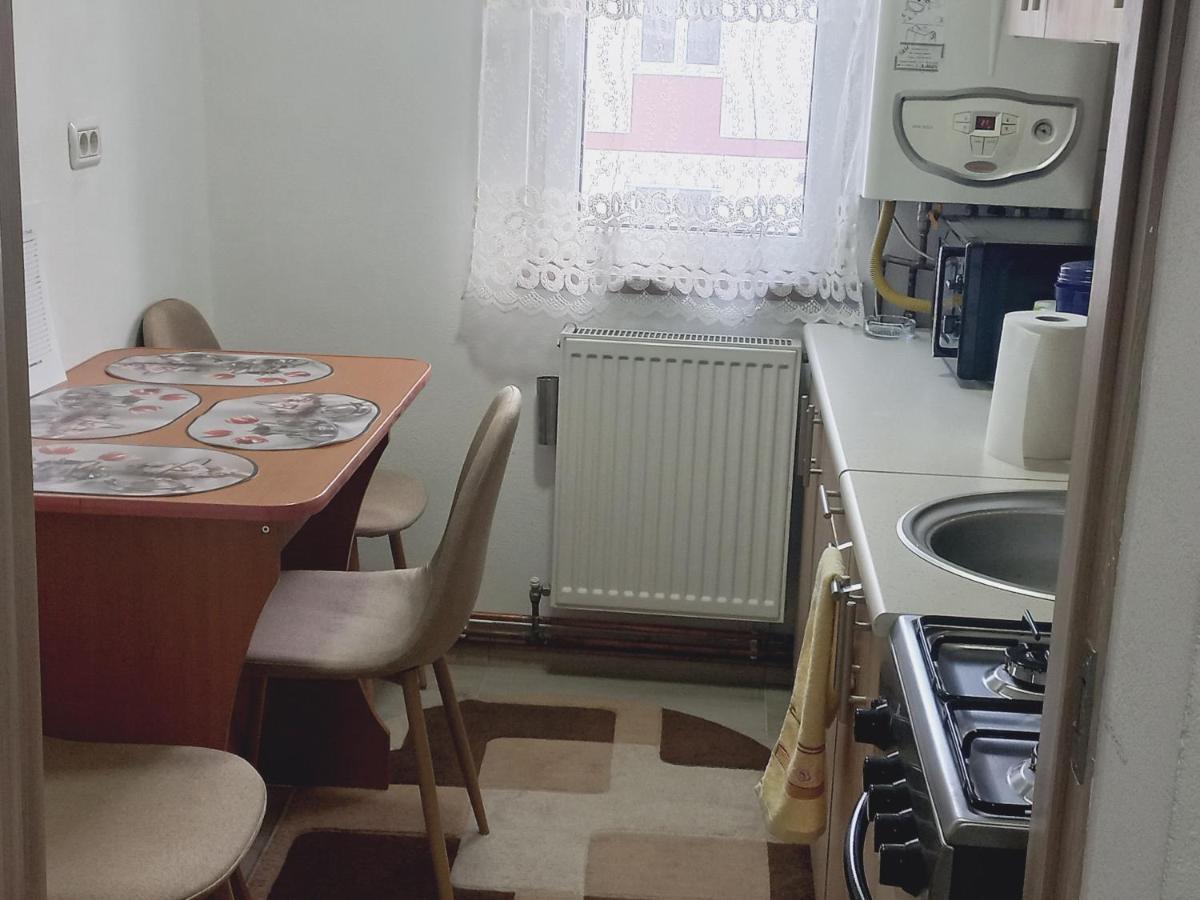 Apartament Bianca Câmpulung Moldovenesc Екстериор снимка