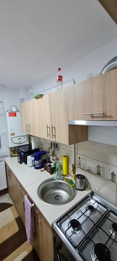 Apartament Bianca Câmpulung Moldovenesc Екстериор снимка
