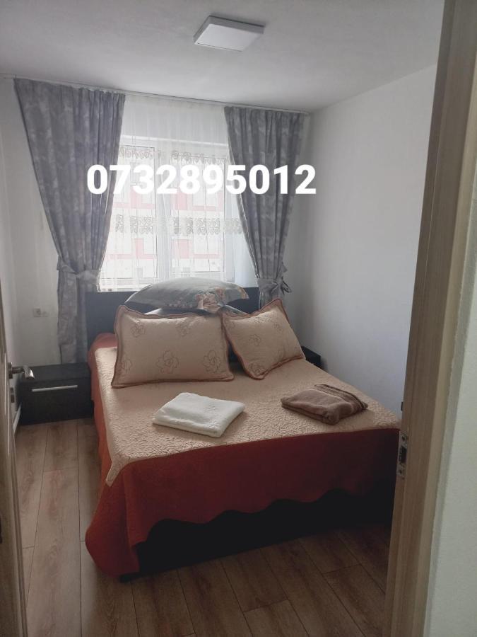 Apartament Bianca Câmpulung Moldovenesc Екстериор снимка