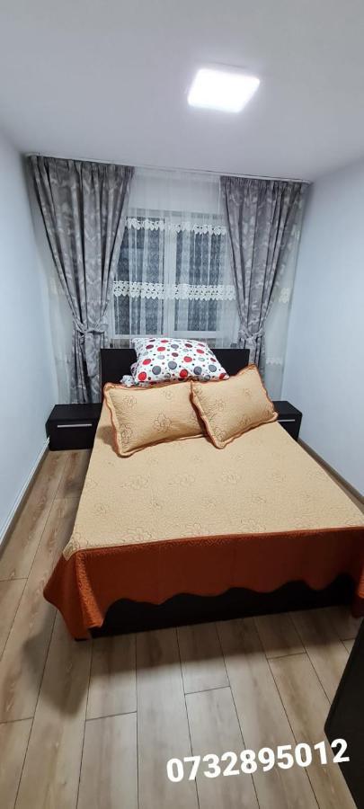 Apartament Bianca Câmpulung Moldovenesc Екстериор снимка